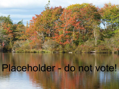 fall placeholder Do Not Vote - Brenda