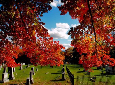 A fall view from the cemetery - Catman