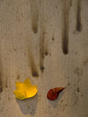 g1/07/527607/3/129308901.WM75JZH1.jpg