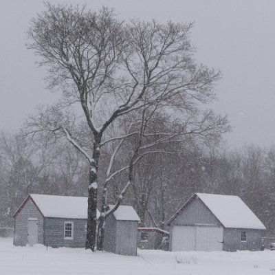Snowfall, Gardiner Farm