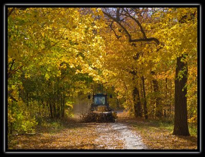 no leaf shuffling please - brent