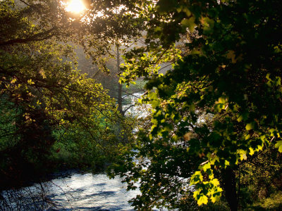 Woods and water, Alistair