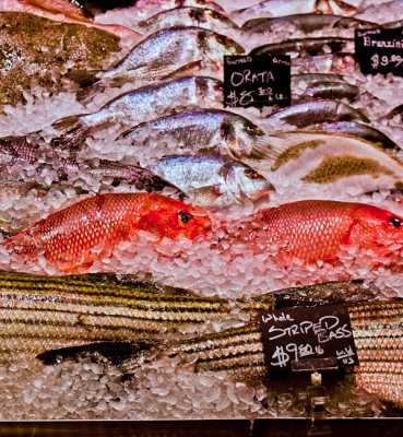 Visiting the Fish Market - Brad