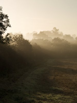 misty morning - John