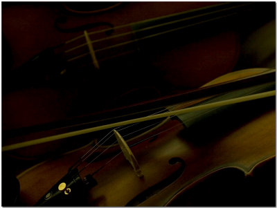 My Violin...by Carlo