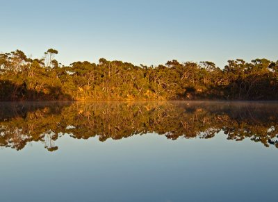 Yeerung estuary reflections by Dennis