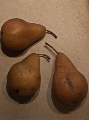 Bosc Pears - Brad