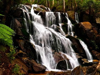 Toorongo Falls by Dennis