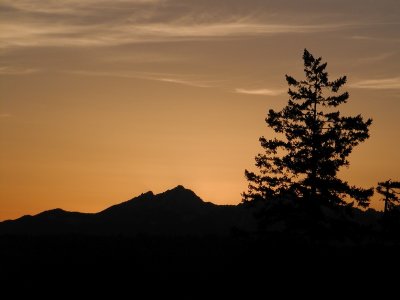 Lone pine sunset
