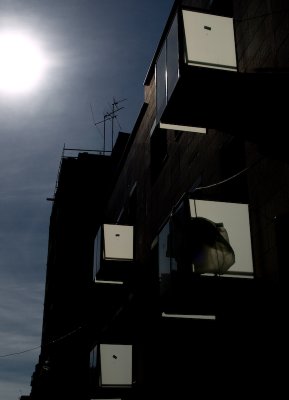 balconies by endika