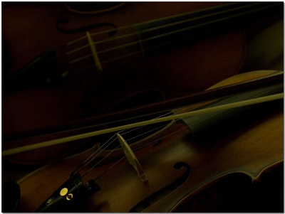 My Stradivari by Carlo
