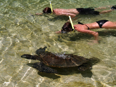 The Underwater CloseUp