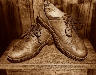 Sepia shoes by Dennis