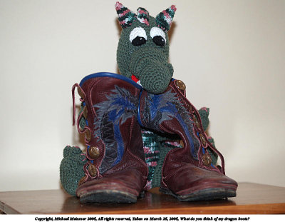 What do you think of my dragon boots - Michael Meissner