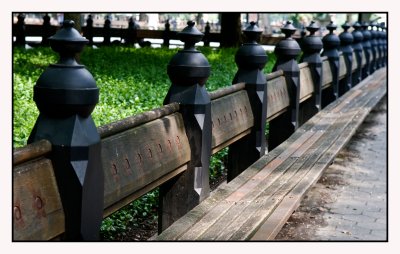 Central Park.jpg