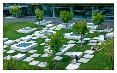 Relaxing-in-Harvard.jpg