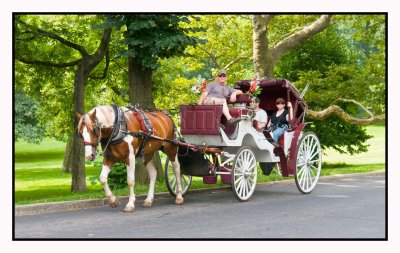 In-Central-Park.jpg