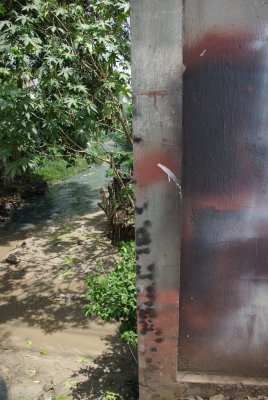 IMGP1480.jpg