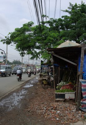 IMGP1591.jpg