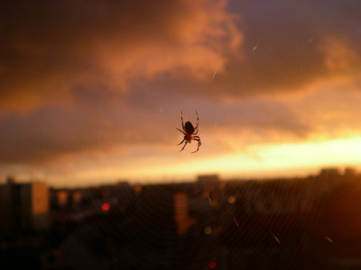Spiderman over the town ;)