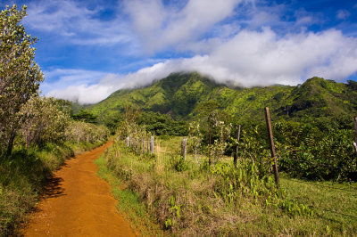 Path on Kauai