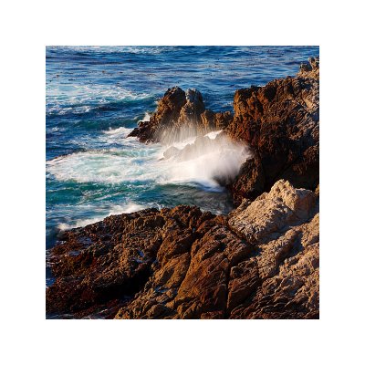 Point Lobos 02