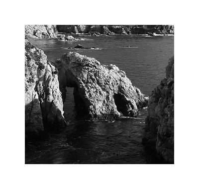 Point Lobos 04