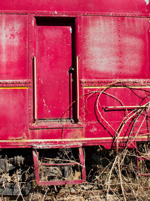 Old Mt. Rainier Railroad car