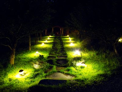 Wellspring  - path at night