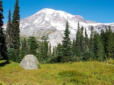 Mt. Rainier