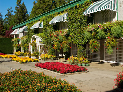 Butchart Gardens