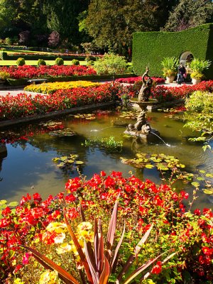 Butchart Gardens