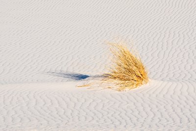 _G096021.jpg