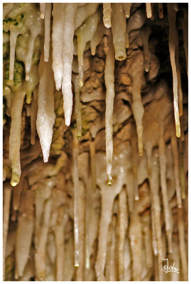 Wales - Dan-yr-ogof cave stalactite.jpg