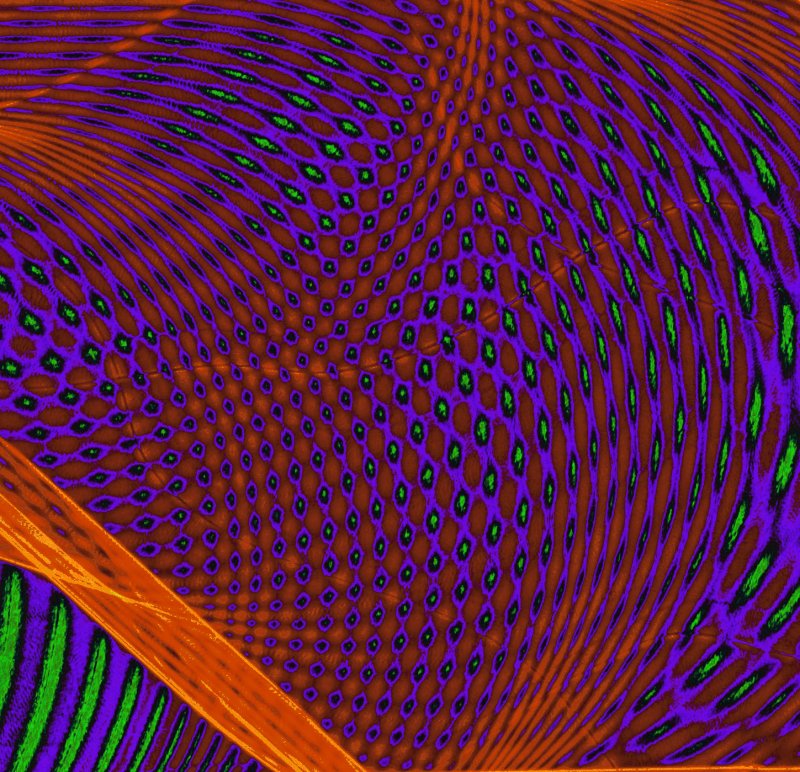 topographic nightmare