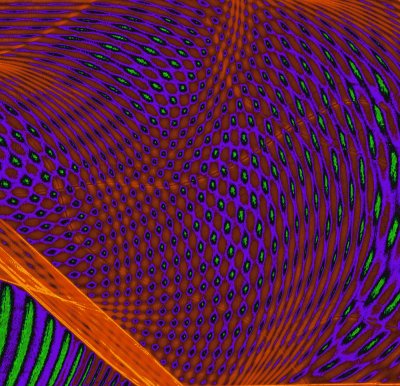 g1/07/617007/3/128131171.dmDwbWqL.jpg