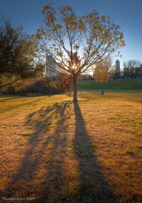 Houston_20090131_83_4_5_HDR.jpg