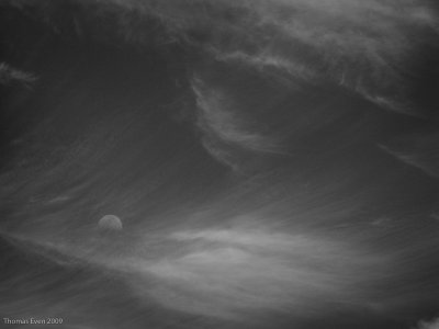G9_Pics_20090403_14.jpg