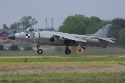 Sea Harrier (3086)