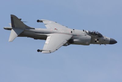 Sea Harrier (3104)