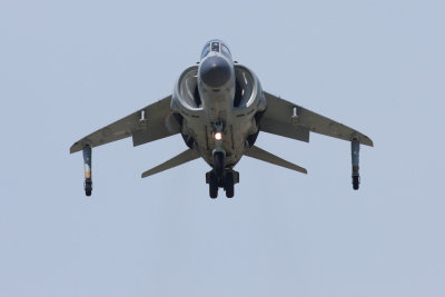 Sea Harrier (3107)