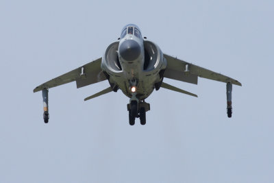 Sea Harrier (3132)