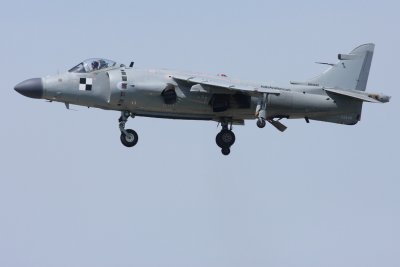 Sea Harrier (3135)