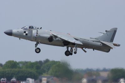 Sea Harrier (3138)
