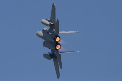 F-15CEagle (3290)