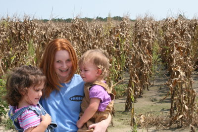 Corn Harvest - September 2008