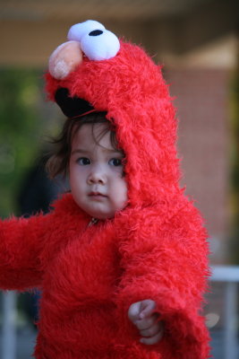 Grace - Elmo