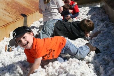Jake and Zac  tackling in the cotton