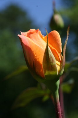 g1/07/66107/3/97276001.yK8fAKPz.jpg
