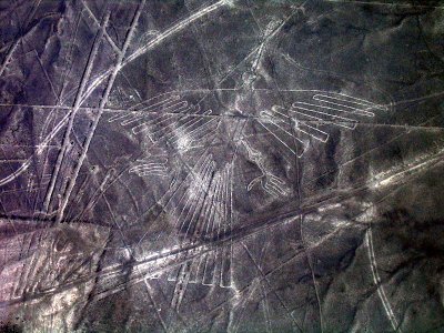 IMG_3991.JPG Le Condor